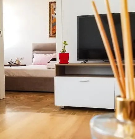 Center Cute And Comfy - Ajia Tirana